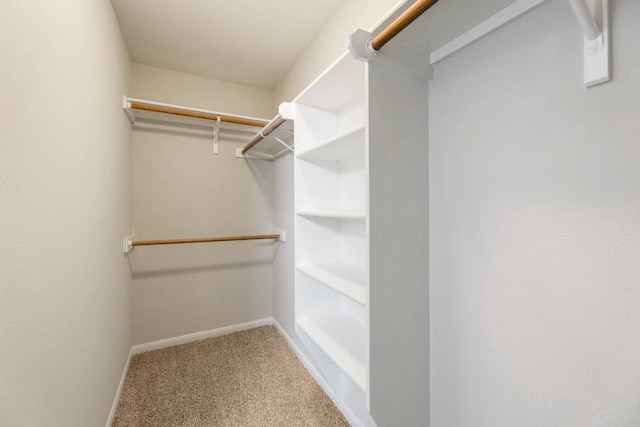 214 Crystal Knoll Blvd, Georgetown, TX 78626 - walk in closet with carpet flooring