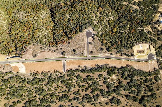 17407 Hattie Trce, Austin, TX 78738 - aerial view of property's location