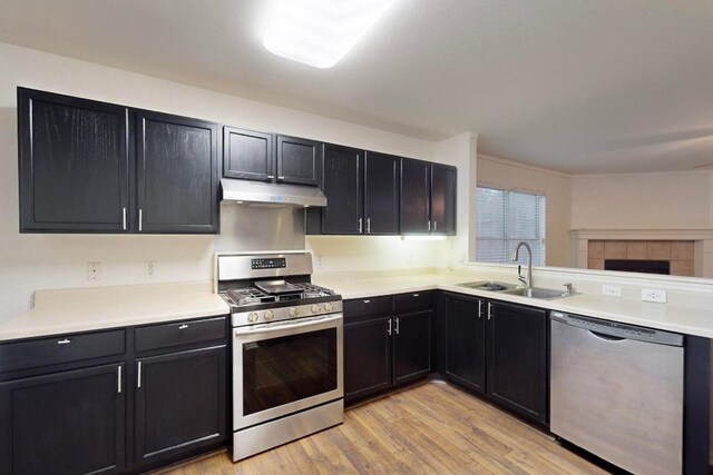 1711 Lloydminister Way, Cedar Park, TX 78613 - kitchen featuring appliances with stainless steel finishes, a sink, under cabinet range hood, light wood-style flooring, and dark cabinets