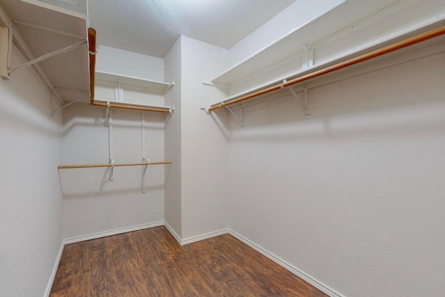 1711 Lloydminister Way, Cedar Park, TX 78613 - photo 23