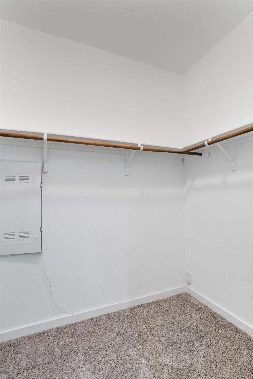 13609 Baileyfield Dr, Pflugerville, TX 78660 - walk in closet with carpet floors