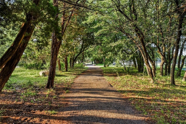 509 Flamingo Blvd, Lakeway, TX 78734 - view of home's community