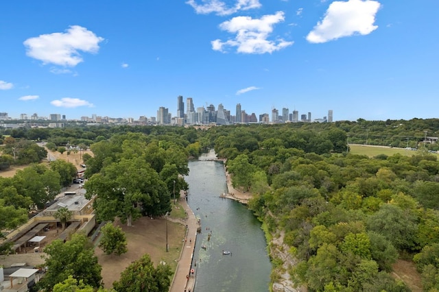 1135 Barton Hills Dr Unit 136, Austin, TX 78704 - bird's eye view of city skyline and a nearby body of water