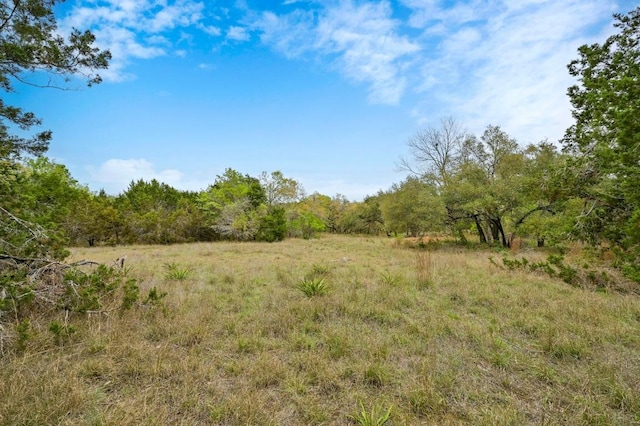 200 Oak Grove Dr, Dripping Springs, TX 78620 - view of tree filled area