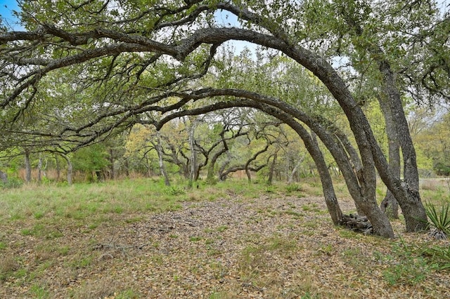200 Oak Grove Dr, Dripping Springs, TX 78620 - view of nature