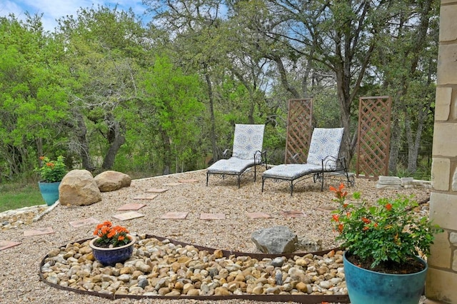 200 Oak Grove Dr, Dripping Springs, TX 78620 - view of patio