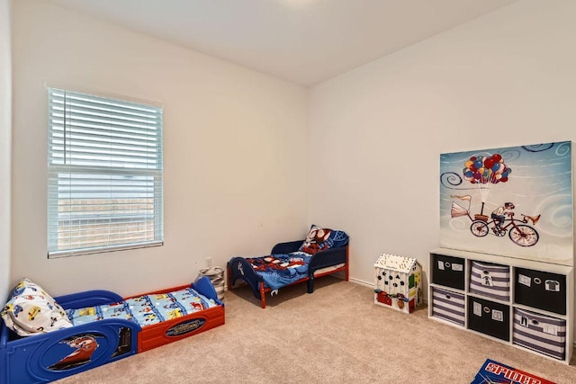 344 The Bad Way, Jarrell, TX 76537 - bedroom featuring multiple windows, carpet floors, and baseboards