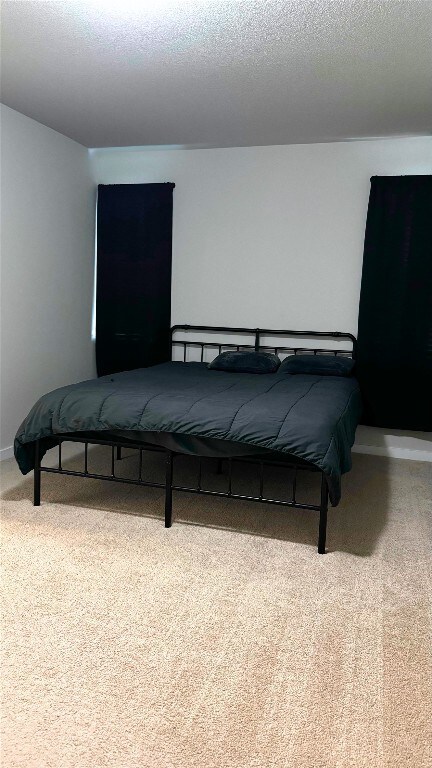 131 Harvest Ridge Blvd, Elgin, TX 78621 - view of carpeted bedroom