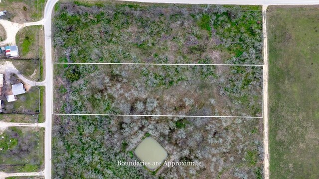 315 Union Hill Rd, Luling, TX 78648 - photo 9