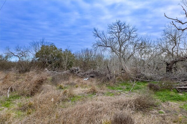 315 Union Hill Rd, Luling, TX 78648 - photo 6