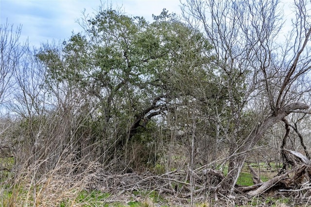 315 Union Hill Rd, Luling, TX 78648 - photo 18