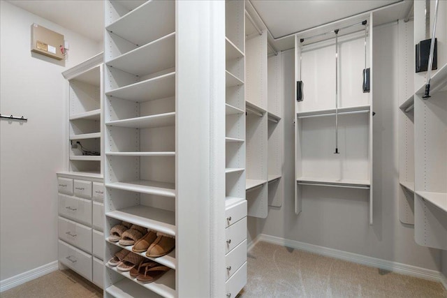 24729 Travis Lakeside Cv, Spicewood, TX 78669 - spacious closet with light colored carpet