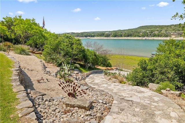 24729 Travis Lakeside Cv, Spicewood, TX 78669 - water view