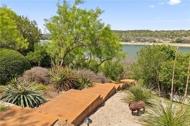 24729 Travis Lakeside Cv, Spicewood, TX 78669 - view of home's community featuring a water view