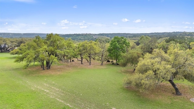 2910 La Ventana Pkwy, Driftwood, TX 78619 - photo 24
