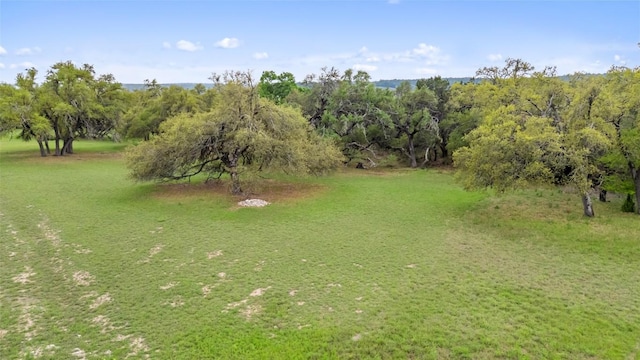 2910 La Ventana Pkwy, Driftwood, TX 78619 - photo 25