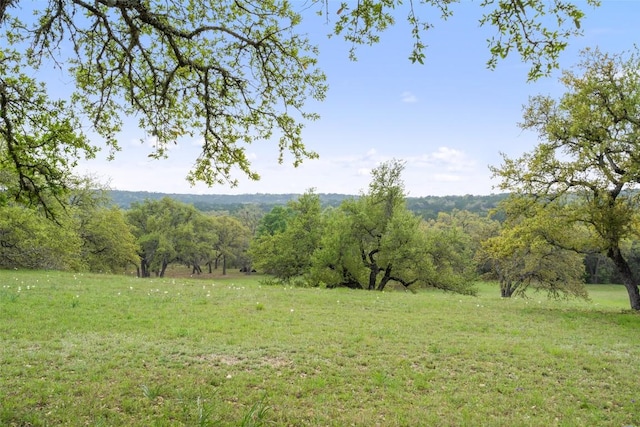 2910 La Ventana Pkwy, Driftwood, TX 78619 - photo 2