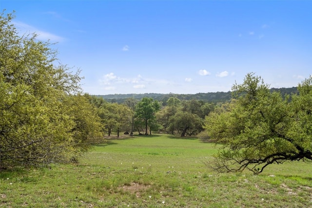 2910 La Ventana Pkwy, Driftwood, TX 78619 - photo 7