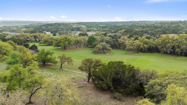 2910 La Ventana Pkwy, Driftwood, TX 78619 - photo 10