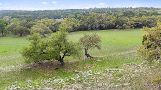 2910 La Ventana Pkwy, Driftwood, TX 78619 - photo 11