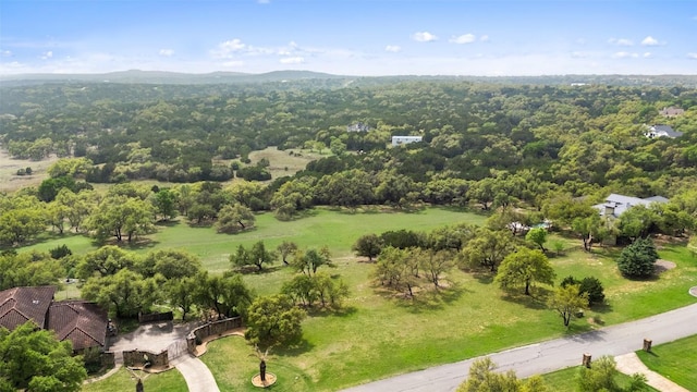 2910 La Ventana Pkwy, Driftwood, TX 78619 - photo 12