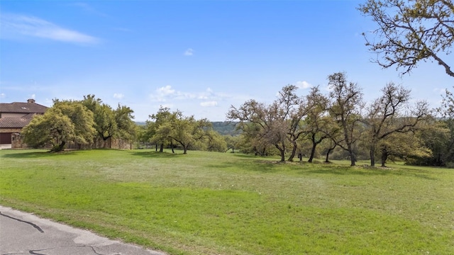 2910 La Ventana Pkwy, Driftwood, TX 78619 - photo 13