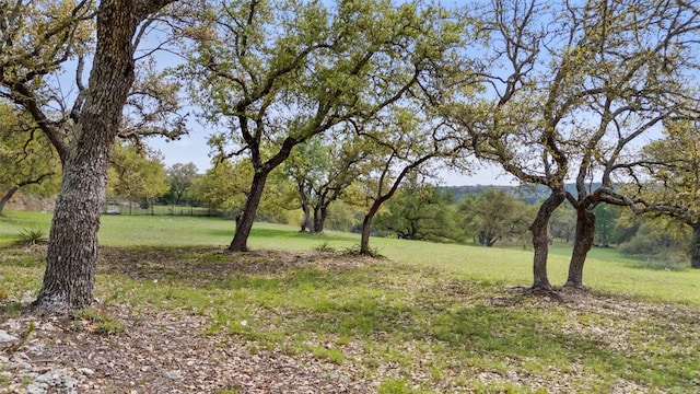 2910 La Ventana Pkwy, Driftwood, TX 78619 - photo 14