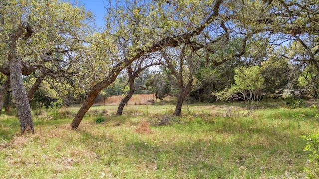 2910 La Ventana Pkwy, Driftwood, TX 78619 - photo 19