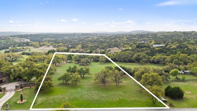 2910 La Ventana Pkwy, Driftwood, TX 78619 - photo 5