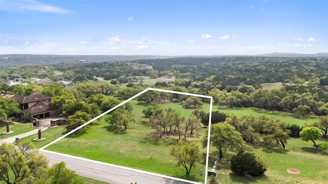 2910 La Ventana Pkwy, Driftwood, TX 78619 - photo 8