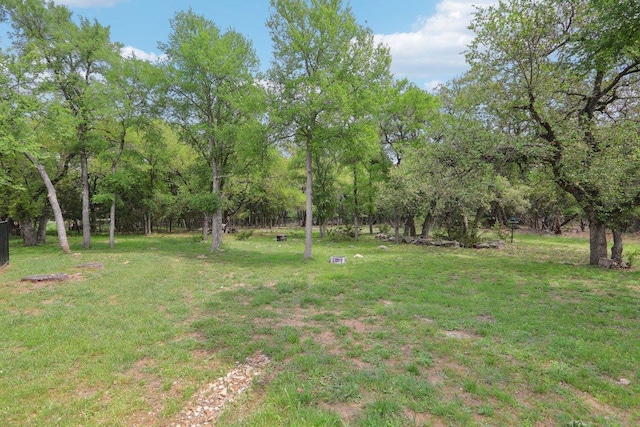 202 Serenada Dr, Georgetown, TX 78628 - photo 27