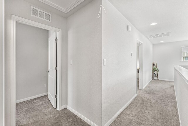 252 Arabian Colt Dr, Georgetown, TX 78626 - photo 27