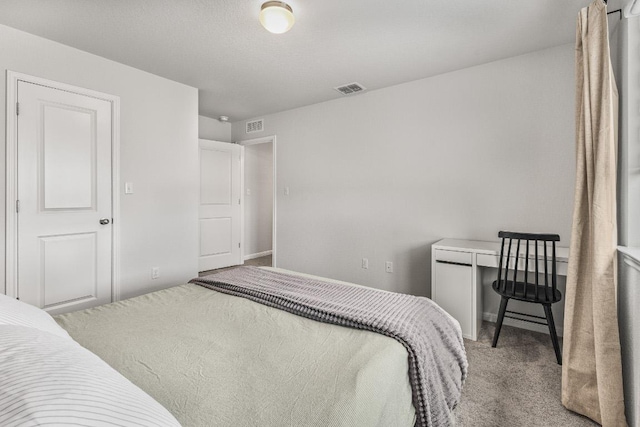 252 Arabian Colt Dr, Georgetown, TX 78626 - photo 29