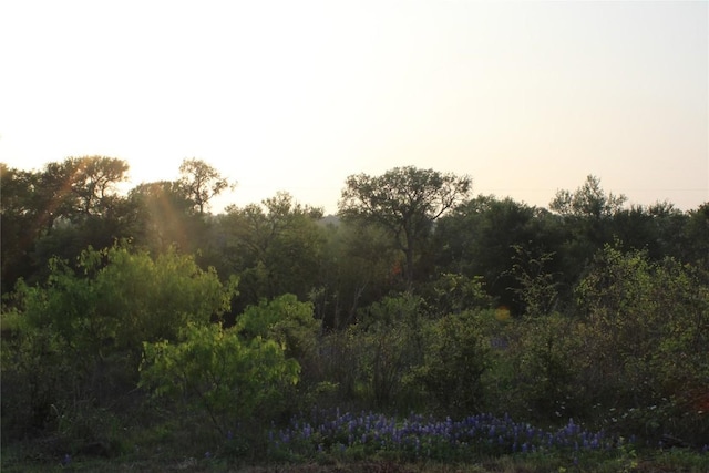 TBD Hibbs Lane, Manor, TX 78653
