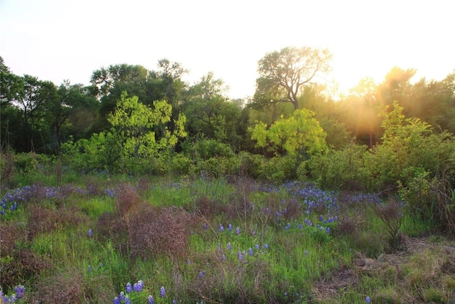 TBD Hibbs Lane, Manor, TX 78653