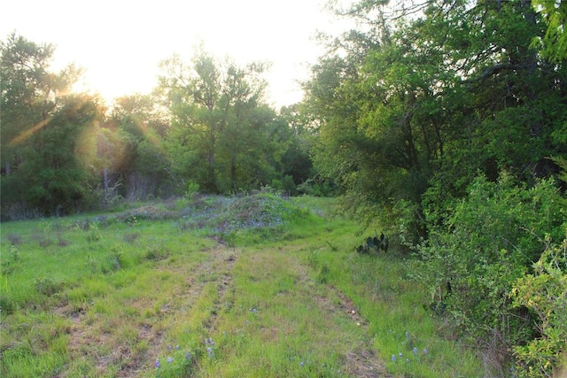 TBD Hibbs Lane, Manor, TX 78653