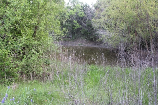 TBD Hibbs Lane, Manor, TX 78653