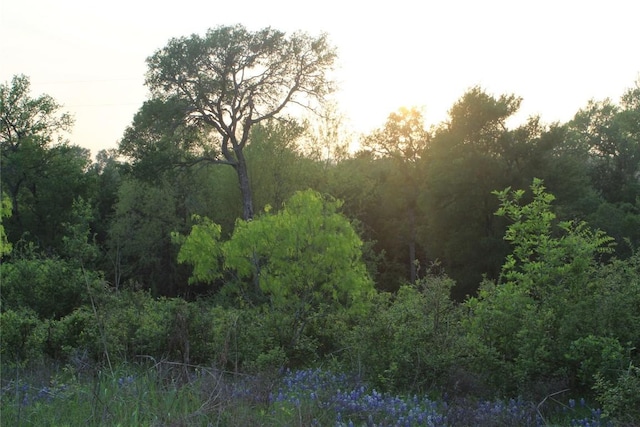 TBD Hibbs Lane, Manor, TX 78653