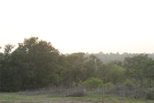 TBD Hibbs Lane, Manor, TX 78653