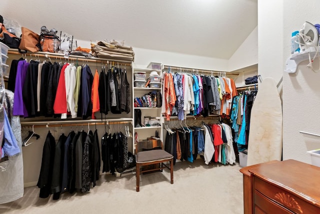 2907 Briona Wood Ln, Cedar Park, TX 78613 - walk in closet with carpet flooring and lofted ceiling