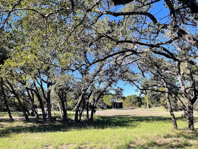 13601 Paisano Trl, Austin, TX 78737 - view of yard