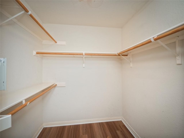 924 Double File Trl, Round Rock, TX 78664 - photo 17
