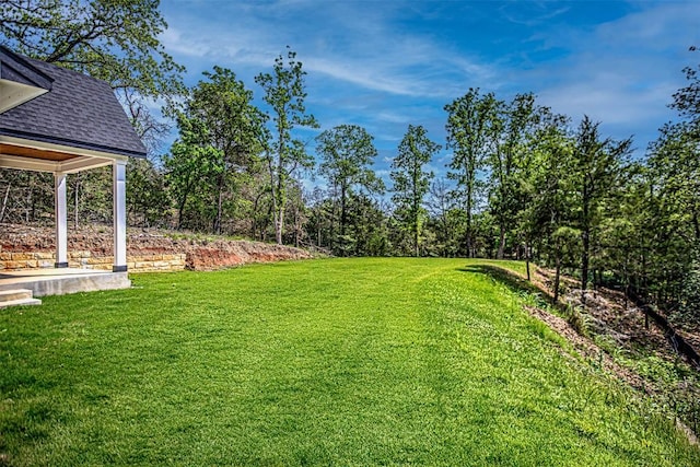 view of yard