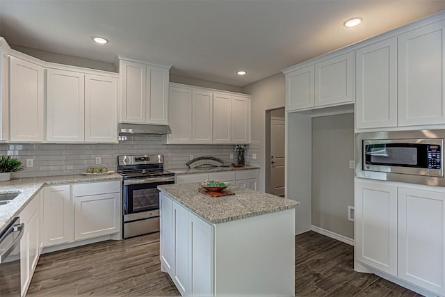 153 E Keanahalululu Ln, Bastrop, TX 78602 - kitchen featuring stainless steel appliances, under cabinet range hood, white cabinets, wood finished floors, and recessed lighting