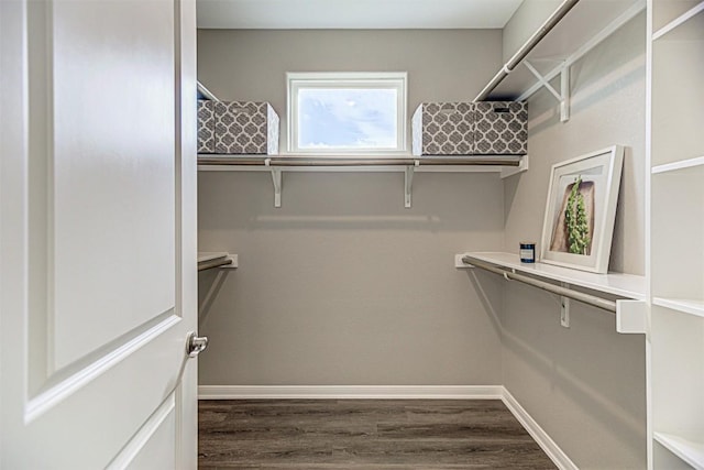 spacious closet with dark wood-type flooring
