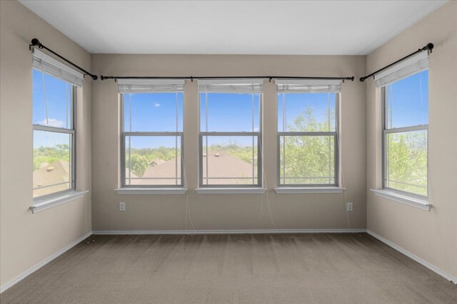 100 Matthews, Kyle, TX 78640 - empty room featuring light colored carpet and baseboards