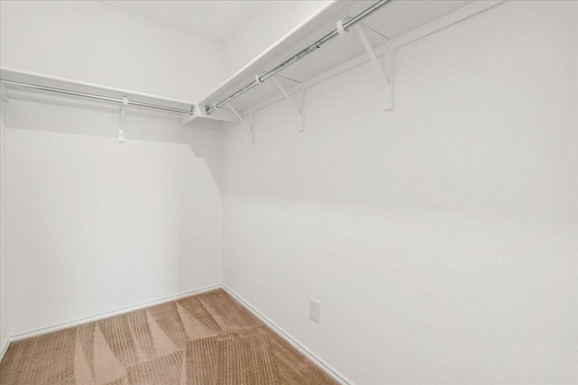 100 Matthews, Kyle, TX 78640 - spacious closet with light carpet