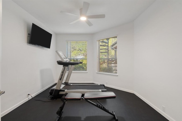 250 Open Sky Rd, Austin, TX 78737 - photo 29
