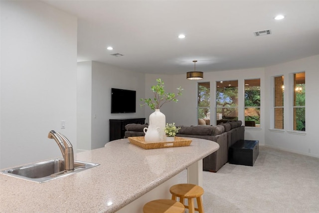 250 Open Sky Rd, Austin, TX 78737 - photo 22