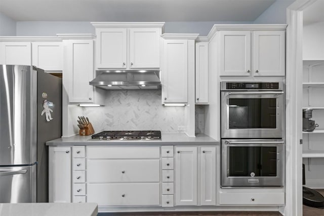 2015 Colina Cv, Cedar Park, TX 78613 - kitchen featuring appliances with stainless steel finishes, under cabinet range hood, white cabinets, and light countertops